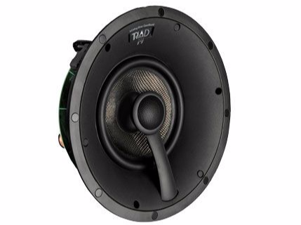 Control4 Multiroom Audio, Triad Speaker Image